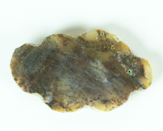 Agat dendrytowy z Kazachstanu Kaboszon 