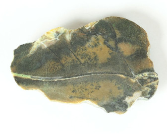 Agat dendrytowy z Kazachstanu Kaboszon 