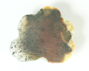 Agat dendrytowy z Kazachstanu Kaboszon 