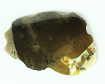 Agat dendrytowy z Kazachstanu Kaboszon 