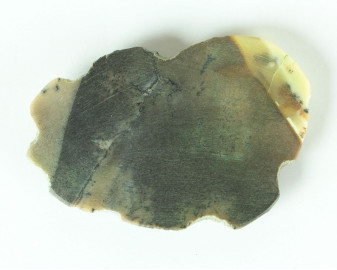 Agat dendrytowy z Kazachstanu Kaboszon 