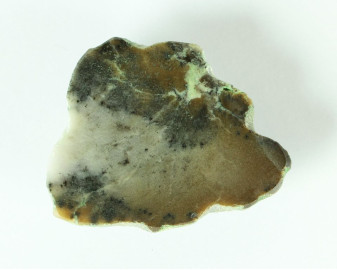 Agat dendrytowy z Kazachstanu Kaboszon 