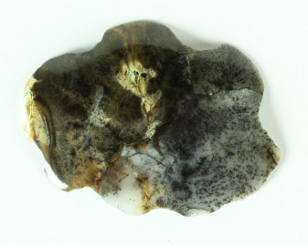 Agat dendrytowy z Kazachstanu Kaboszon 