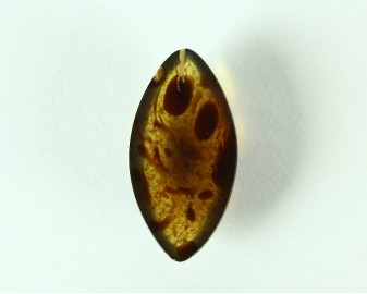 Bursztyn z Indonezji 29,8x15,2 kaboszon