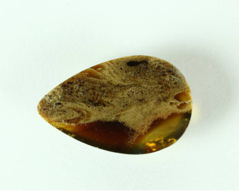 Bursztyn z Indonezji 39,6x24,1 kaboszon