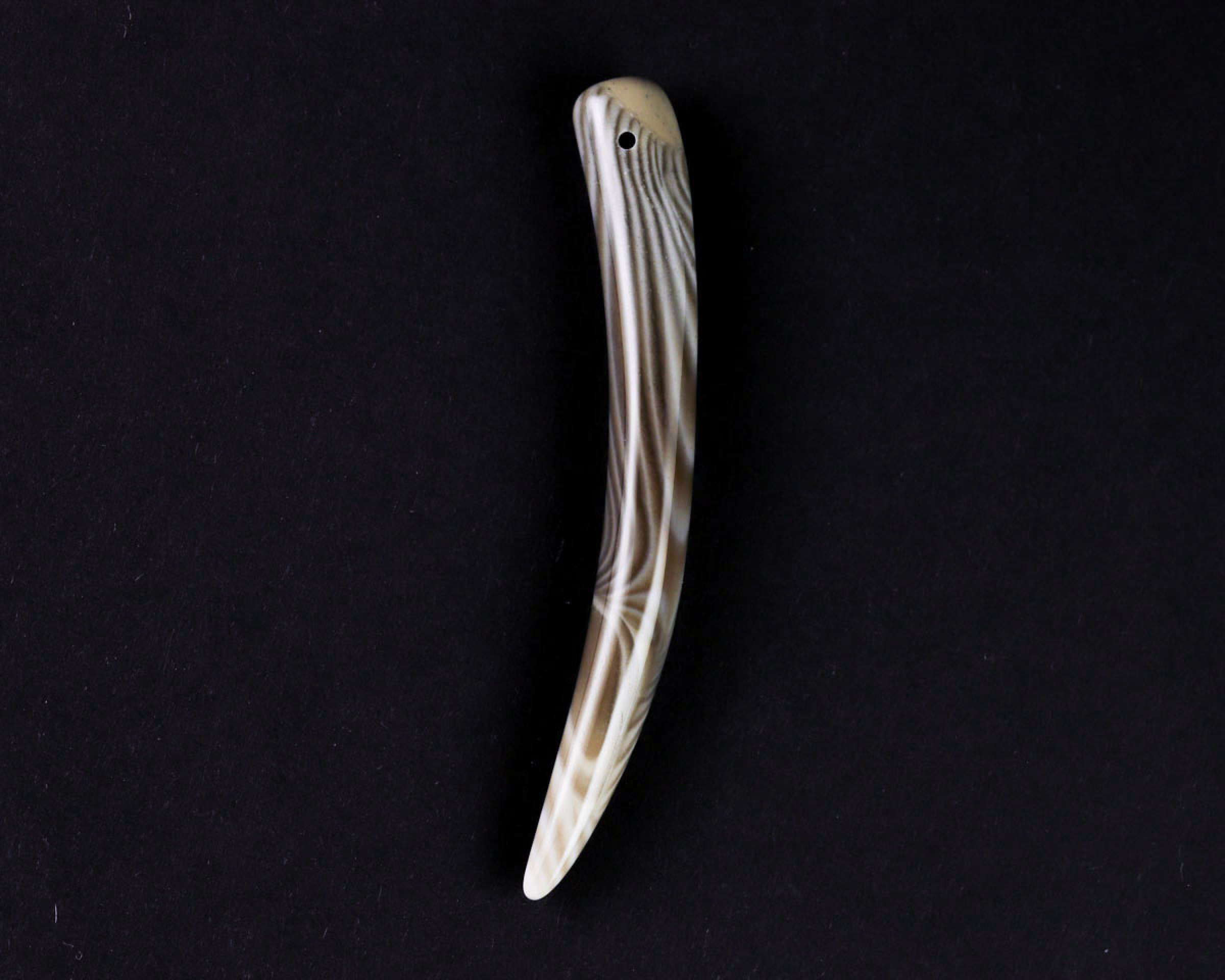 Krzemień pasiasty kieł wiercony 1,2mm