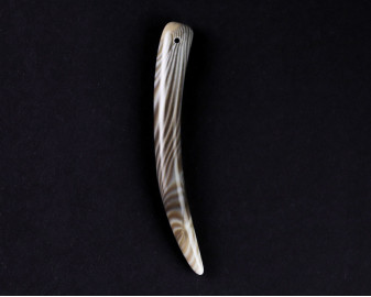 Krzemień pasiasty kieł wiercony 1,2mm