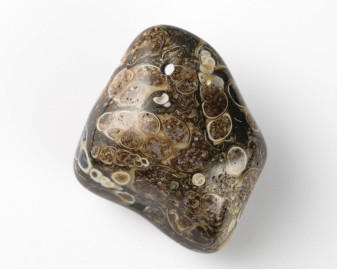 Agat muszlowy wiercony 2mm