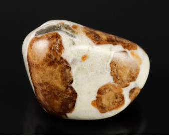 Granat w Wollastonicie 