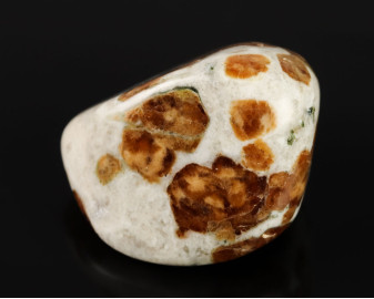 Granat w Wollastonicie 