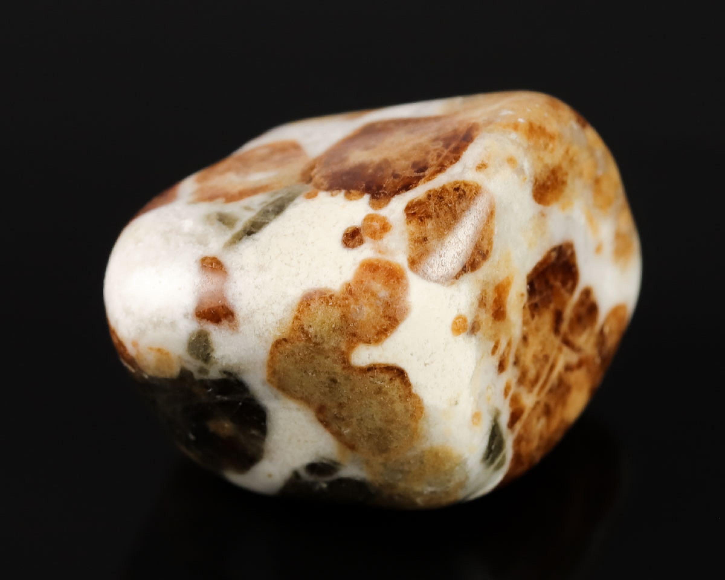Granat w Wollastonicie 
