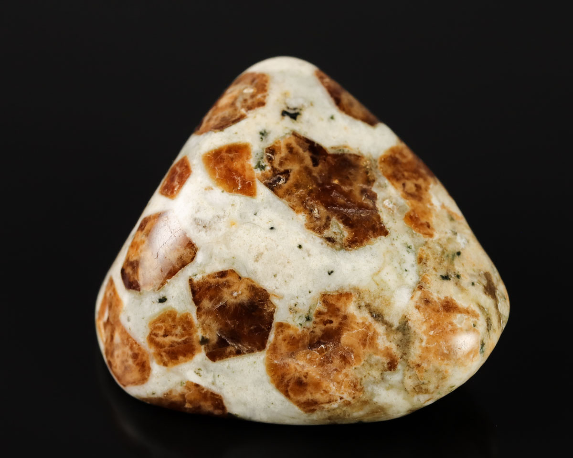 Granat w Wollastonicie 