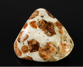 Granat w Wollastonicie 