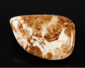 Granat w Wollastonicie 