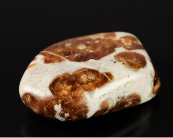Granat w Wollastonicie 