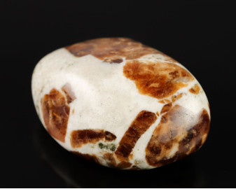 Granat w Wollastonicie 