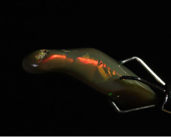 Opal z Etiopii