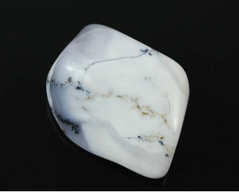 Opal dendrytowy (Merlinit)