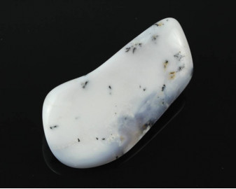 Opal dendrytowy (Merlinit)