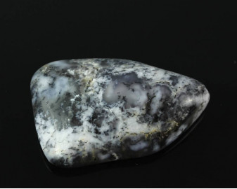 Opal dendrytowy (Merlinit)