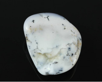 Opal dendrytowy (Merlinit)