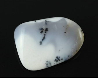 Opal dendrytowy (Merlinit)