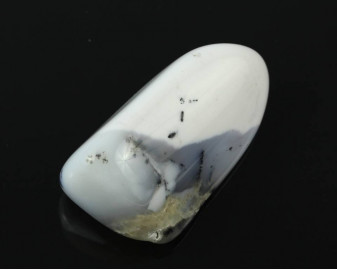 Opal dendrytowy (Merlinit)