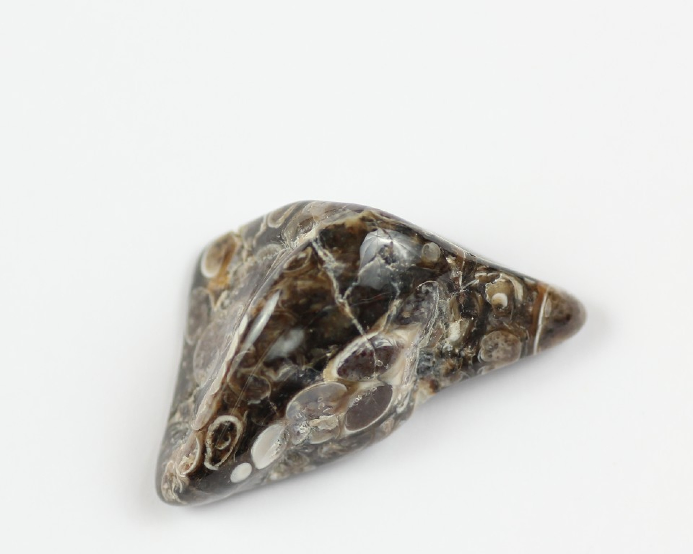 Agat Muszlowy (Turritella)