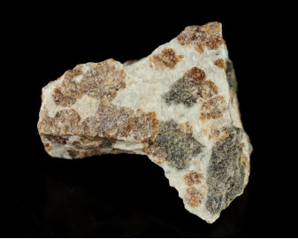 Granat w Wollastonicie 