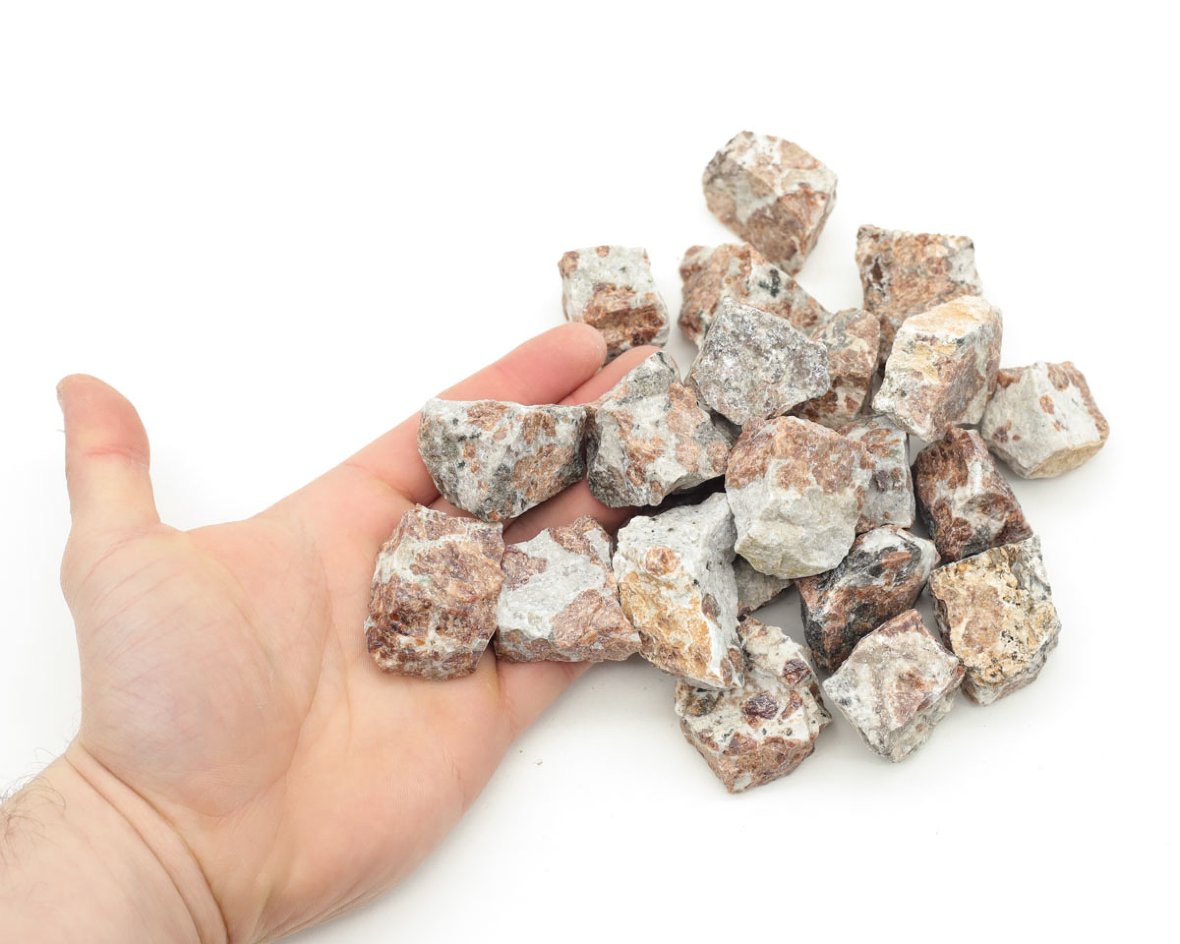 Granat w Wollastonicie surowy 34-50g