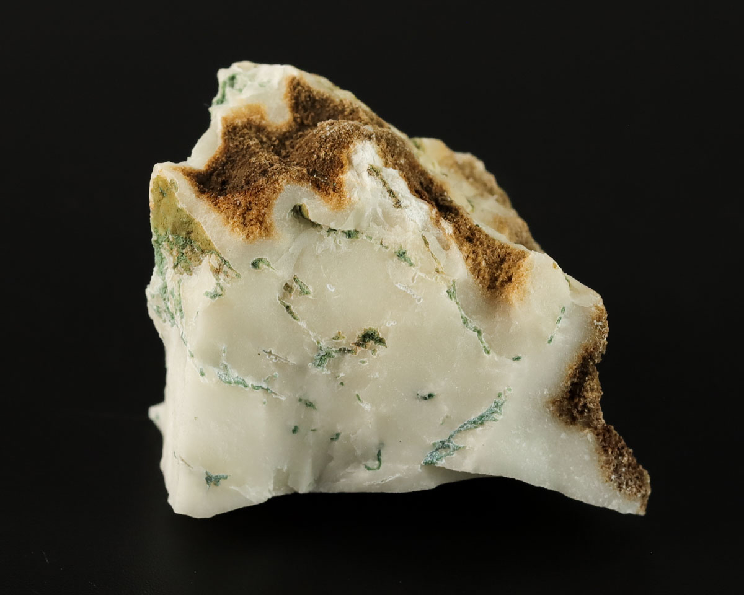 Agat drzewny