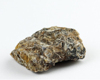 Agat Muszlowy (Turritella)