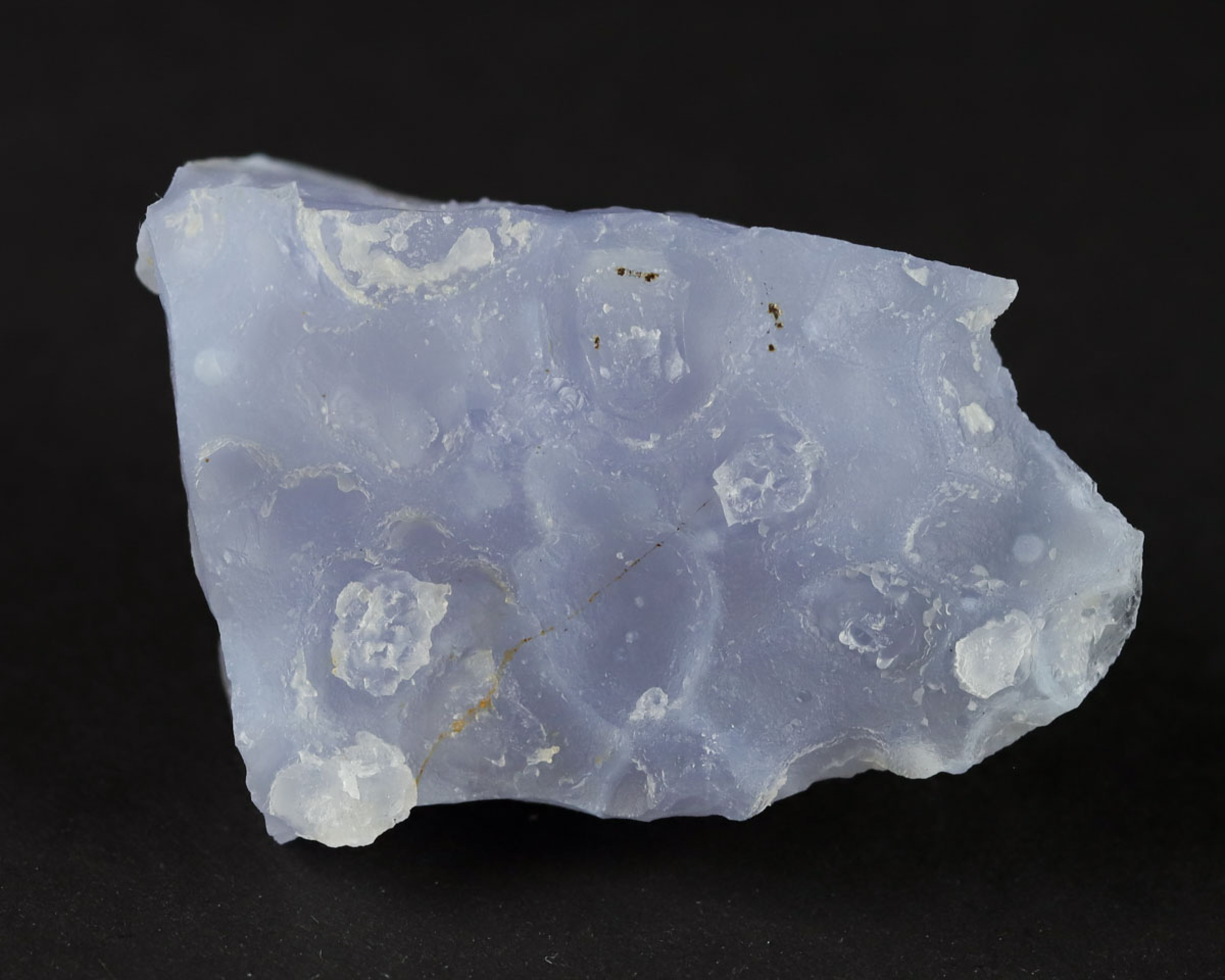 Chalcedon niebieski