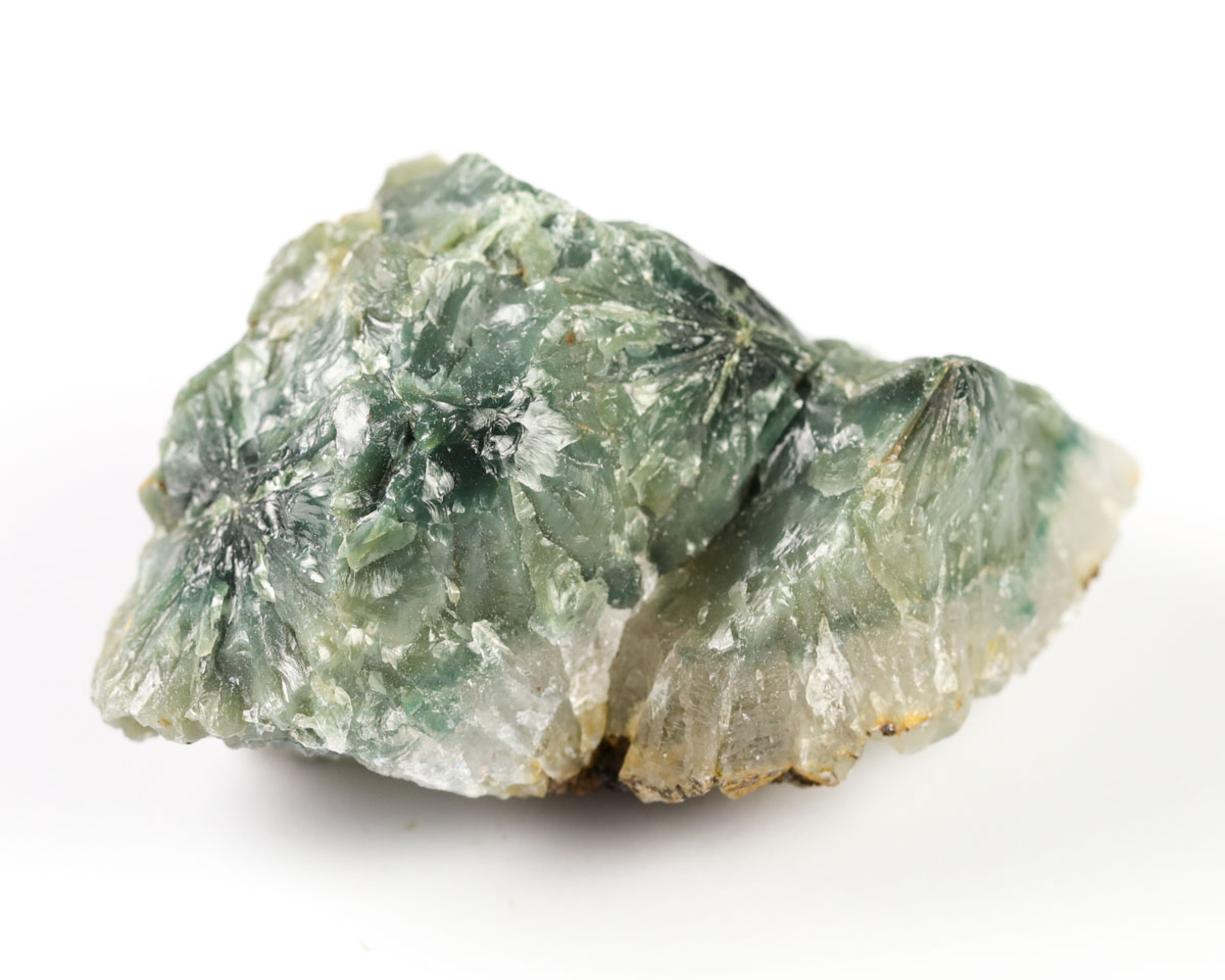 Jaspis Oceaniczny (Orbikularny) 