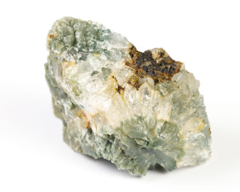 Jaspis Oceaniczny (Orbikularny) 