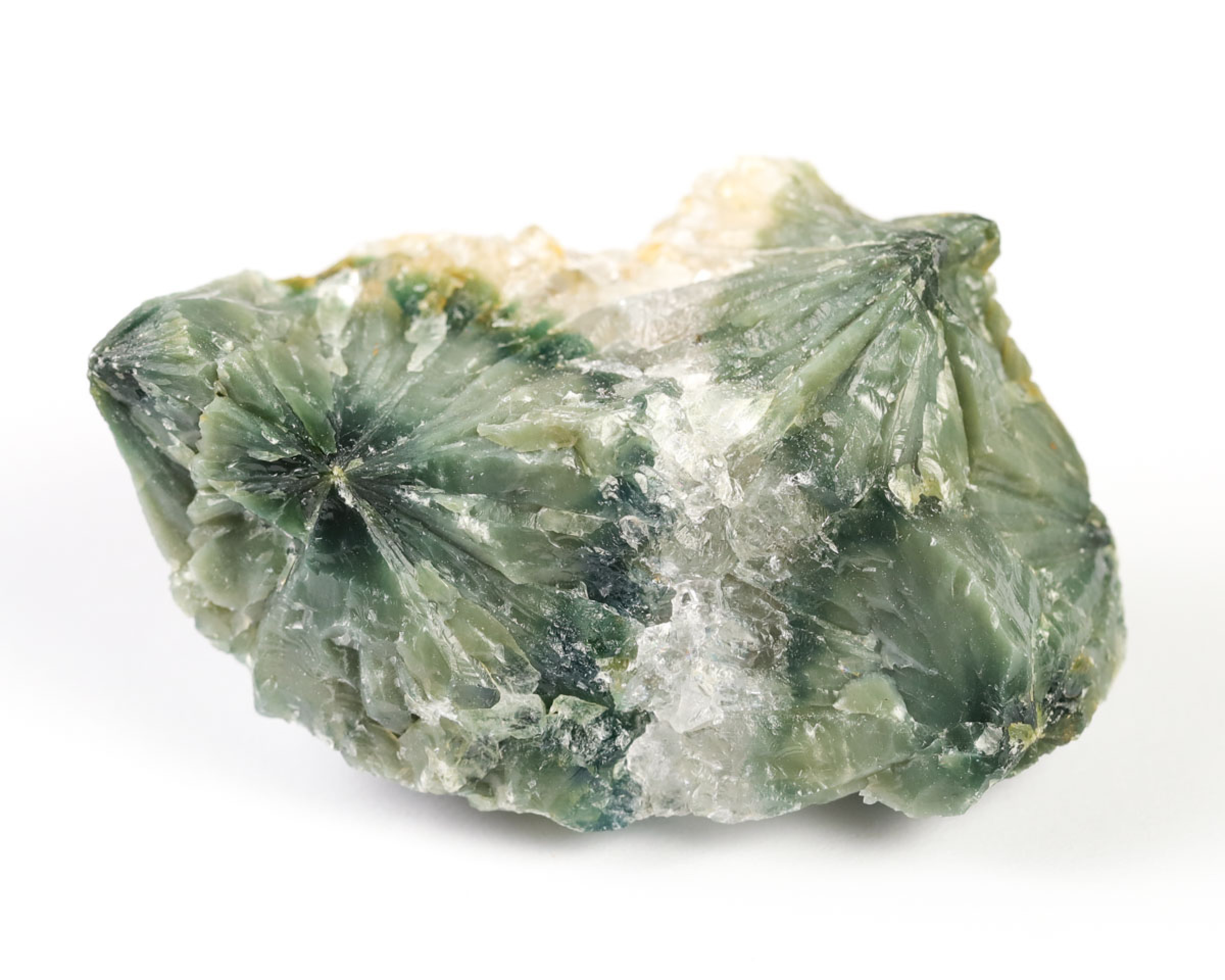 Jaspis Oceaniczny (Orbikularny) 