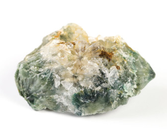 Jaspis Oceaniczny (Orbikularny) 