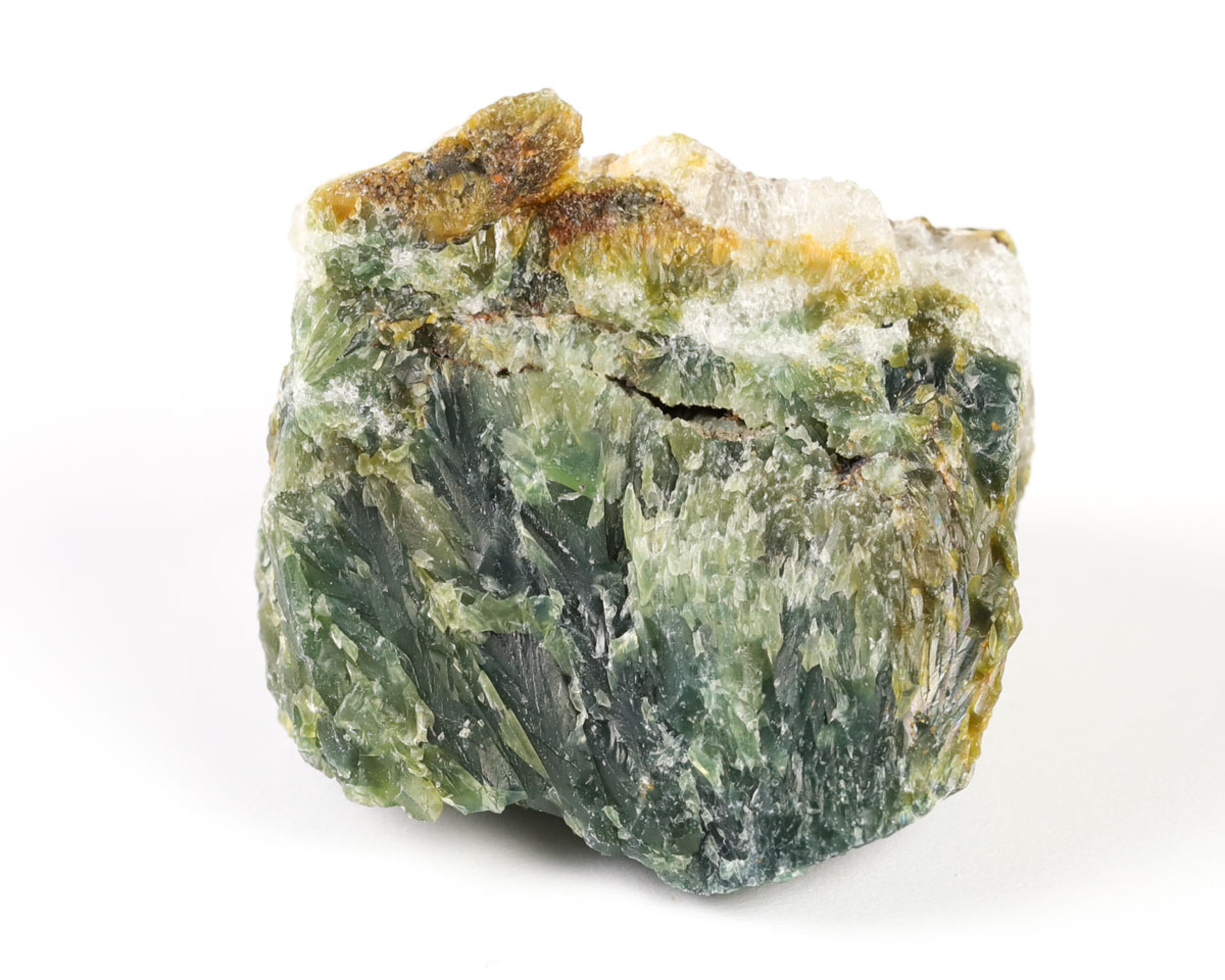 Jaspis Oceaniczny (Orbikularny) 