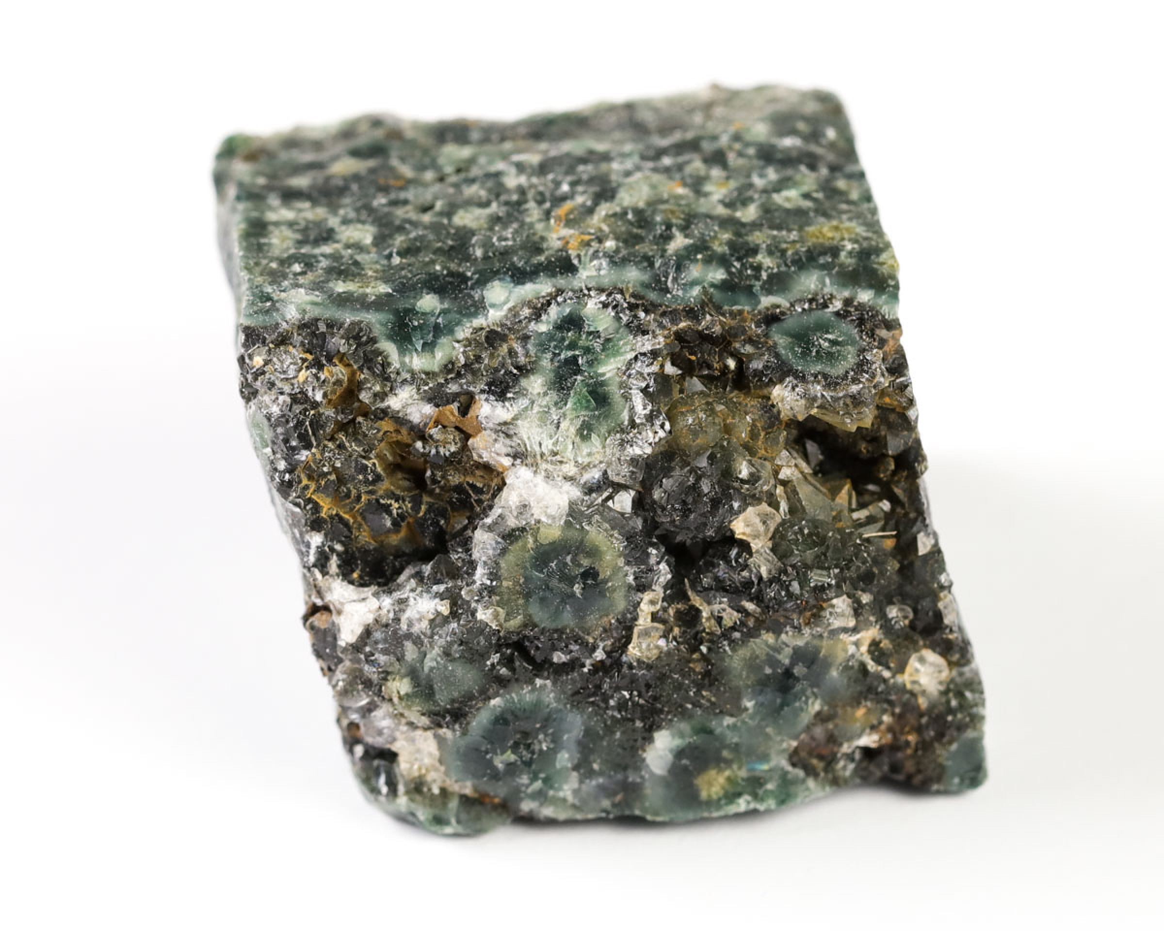 Jaspis Oceaniczny (Orbikularny) 