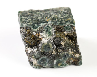 Jaspis Oceaniczny (Orbikularny) 