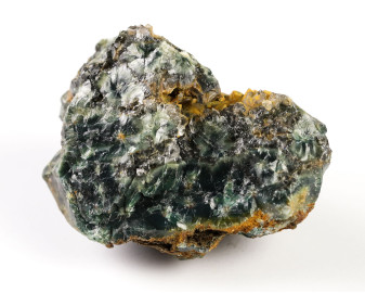 Jaspis Oceaniczny (Orbikularny) 