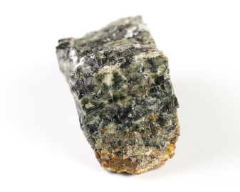 Jaspis Oceaniczny (Orbikularny) 