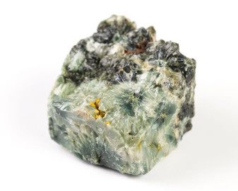 Jaspis Oceaniczny (Orbikularny) 