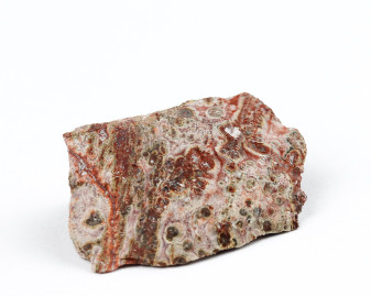 Jaspis leopardzi