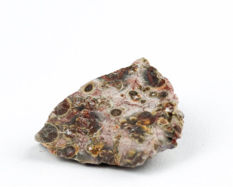 Jaspis leopardzi