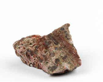 Jaspis leopardzi