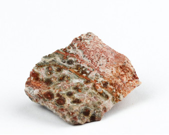 Jaspis leopardzi