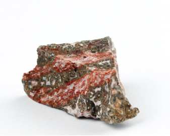 Jaspis leopardzi