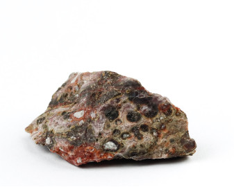 Jaspis leopardzi