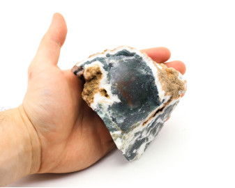 Agat Mszysty (Drzewny)